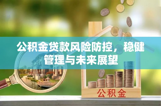 大观公积金贷款风险防控，稳健管理与未来展望