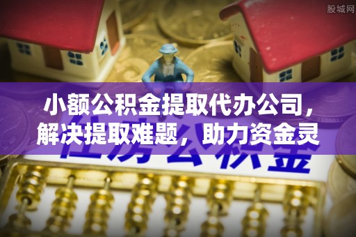 大观小额公积金提取代办公司，解决提取难题，助力资金灵活使用