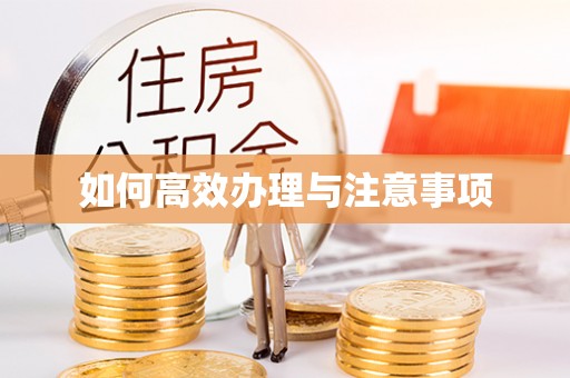 大观如何高效办理与注意事项