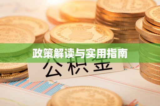 大观政策解读与实用指南