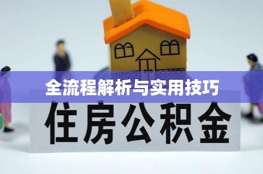 大观全流程解析与实用技巧