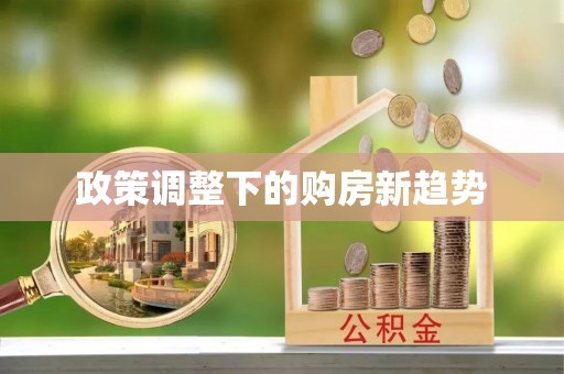 大观政策调整下的购房新趋势