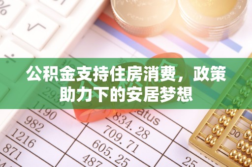 大观公积金支持住房消费，政策助力下的安居梦想