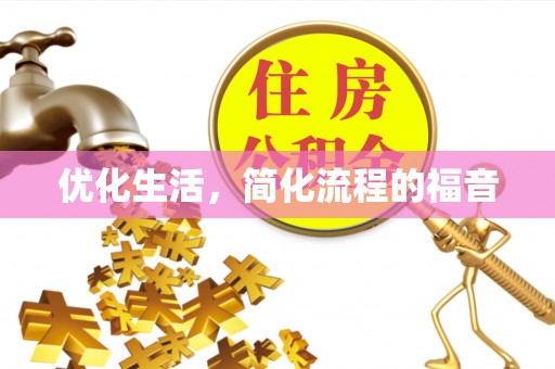大观优化生活，简化流程的福音
