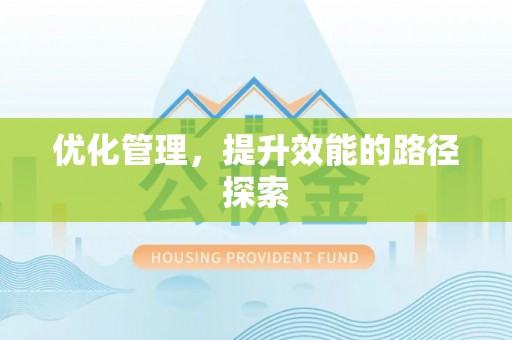 大观优化管理，提升效能的路径探索