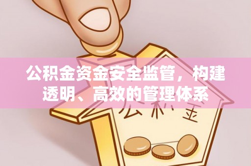 大观公积金资金安全监管，构建透明、高效的管理体系
