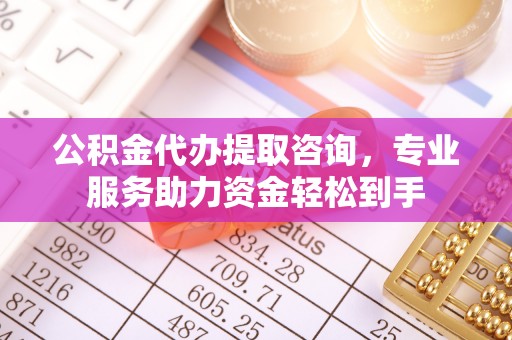 大观公积金代办提取咨询，专业服务助力资金轻松到手