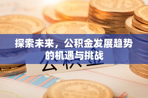 大观探索未来，公积金发展趋势的机遇与挑战