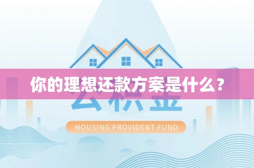 大观你的理想还款方案是什么？
