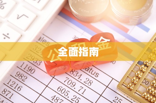大观全面指南