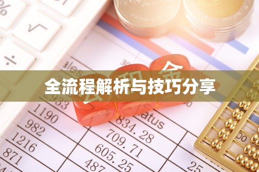 大观全流程解析与技巧分享