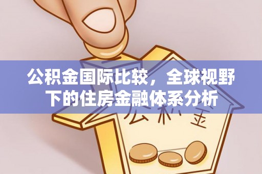 大观公积金国际比较，全球视野下的住房金融体系分析