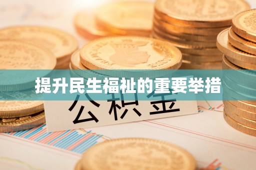 大观提升民生福祉的重要举措