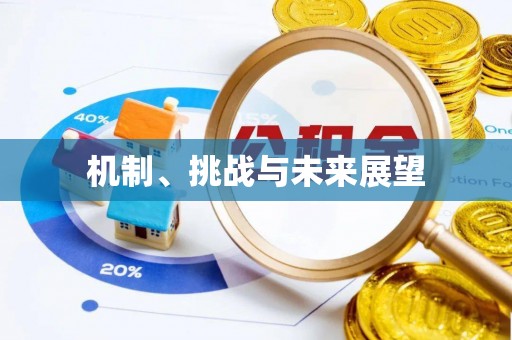 大观机制、挑战与未来展望